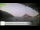 Webcam in Palaiokastrítsa (Korfu), 96.1 km