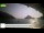 Webcam in Palaiokastrítsa (Corfu), 22.2 mi away