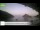 Webcam in Palaiokastrítsa (Corfu), 7.5 mi away