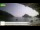 Webcam in Palaiokastrítsa (Corfu), 57.7 km