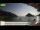 Webcam in Palaiokastrítsa (Corfu), 33.1 mi away