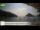 Webcam in Palaiokastrítsa (Corfu), 7.7 mi away