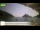 Webcam in Palaiokastrítsa (Corfu), 23.5 mi away