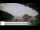 Webcam in Palaiokastrítsa (Corfou), 78.9 km