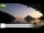 Webcam in Palaiokastrítsa (Corfu), 53.7 km