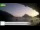 Webcam in Palaiokastrítsa (Corfu), 20.2 km
