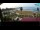 Webcam in Portoroz, 2.3 km