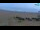 Webcam in Caorle, 0.5 km