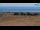 Webcam in Caorle, 7.1 km