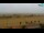 Webcam in Caorle, 12.4 km