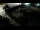 Webcam in Caorle, 0.7 km
