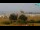Webcam in Caorle, 1.2 km