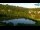 Webcam in Pirano, 1.1 km