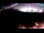 Webcam in Portoroz, 9.6 km