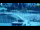 Webcam in Portorož, 0.4 km