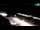 Webcam in Portorose, 3.8 km