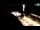 Webcam in Portorož, 1.9 km