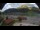 Webcam in Graun im Vinschgau, 13.4 km