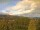 Webcam in Tabarz, 11.3 km