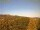 Webcam in Tabarz, 4.3 km