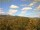 Webcam in Tabarz, 4.3 km entfernt