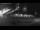Webcam in Stanley, 1047.1 km entfernt