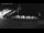 Webcam in Stanley, 264.2 mi away