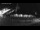 Webcam in Stanley, 775.2 km