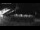 Webcam in Stanley, 775.3 km