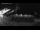 Webcam in Stanley, 299.1 mi away