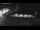 Webcam in Stanley, 776.4 km