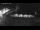 Webcam in Stanley, 1497.5 km