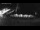 Webcam in Stanley, 775.5 km entfernt