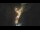 Webcam in Colorado Springs, Colorado, 36.3 mi away