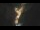 Webcam in Colorado Springs, Colorado, 26.3 mi away