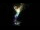 Webcam in Colorado Springs, Colorado, 59.3 mi away