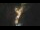 Webcam in Colorado Springs, Colorado, 52.6 km