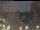 Webcam in Weyregg am Attersee, 9.1 mi away