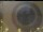 Webcam in Weyregg am Attersee, 17.5 km