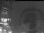 Webcam in Weyregg am Attersee, 7.6 mi away
