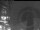 Webcam in Weyregg am Attersee, 19.9 km
