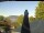 Webcam in Weyregg am Attersee, 3.2 km