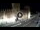 Webcam in Verona, 0.8 km entfernt