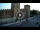 Webcam in Verona, 0.3 mi away