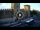 Webcam in Verona, 0.3 mi away