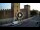 Webcam in Verona, 0.3 mi away