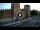 Webcam in Verona, 0.1 km