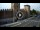 Webcam in Verona, 0.5 mi away
