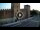 Webcam in Verona, 0.3 mi away