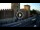 Webcam in Verona, 0.8 km
